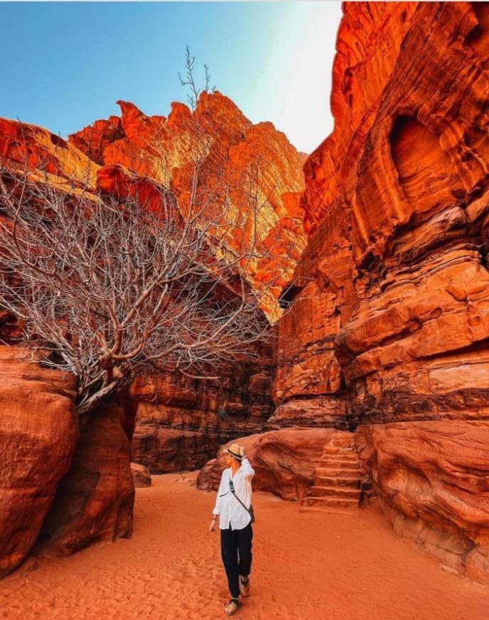 Saleem With Jeep Tour Apartamento Wadi Rum Exterior foto