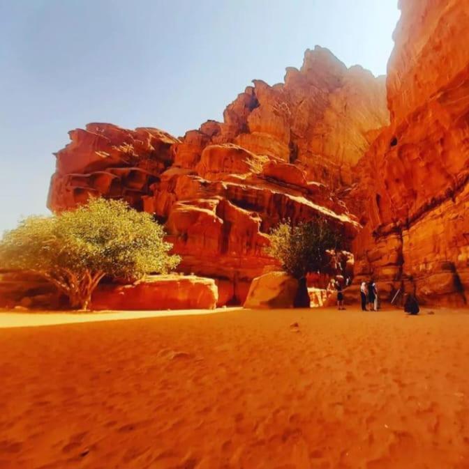 Saleem With Jeep Tour Apartamento Wadi Rum Exterior foto